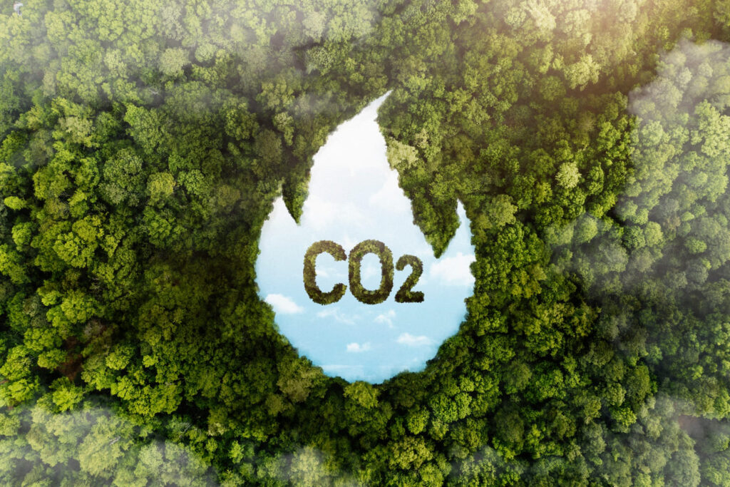 imagen co2