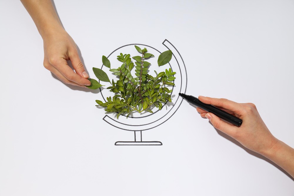 Enfoque Sostenible inicio